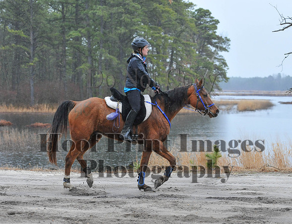 Rabbit(3-29-14)0209
