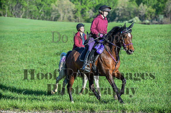 ChesapeakeSpring(4-27-25)0144