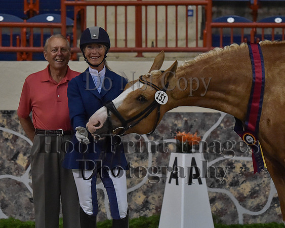 CWdressageII(8-21-16)1445