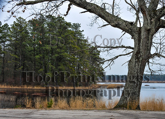 Rabbit(3-29-14)0042