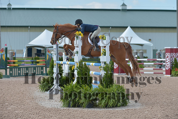 BRSa(5-17-14)HChAdJ0063
