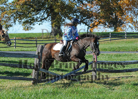 Cheshire(10-19-14)0431