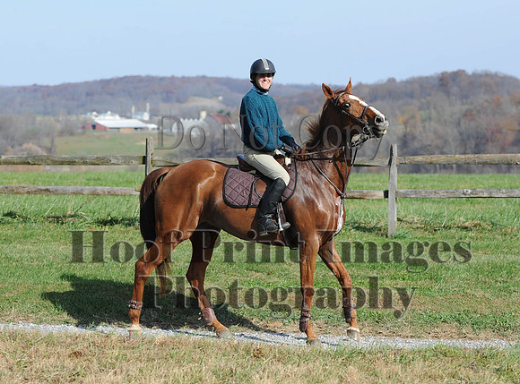 AndrewsBr(11-9-14)0264