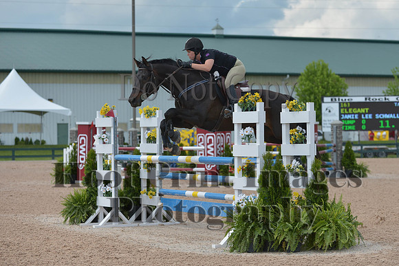 BRSa(5-17-14)HChAdJ0216