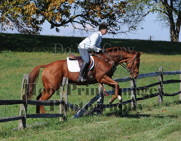 Cheshire(10-20-13)0033