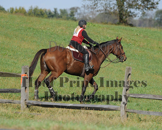Cheshire(10-20-13)0714