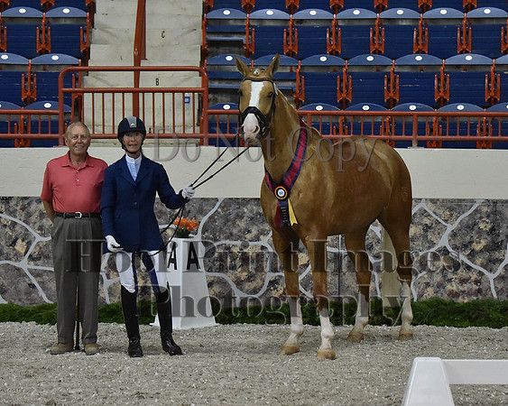 CWdressageII(8-21-16)1431