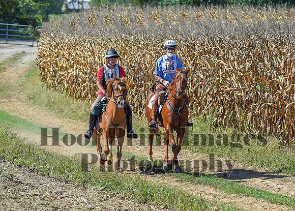 CheshirePonyClubPC(10-6-24)0632