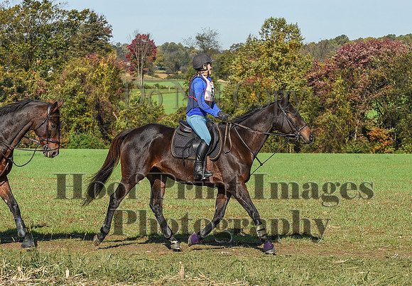 CheshirePC(10-18-20)0240