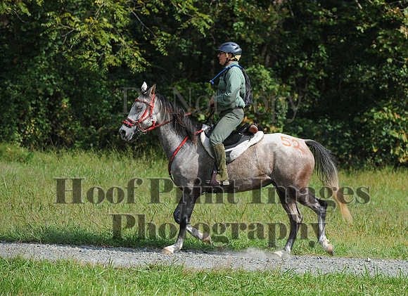 ChesapeakeCTR(9-20-14)0560