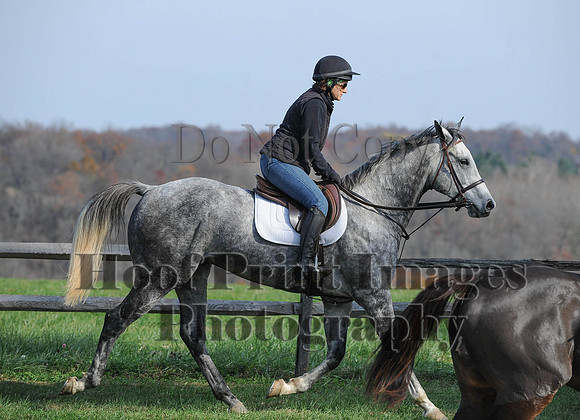 AndrewsBr(11-9-14)0287