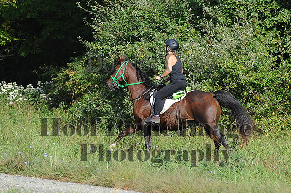 ChesapeakeCTR(9-20-14)0202