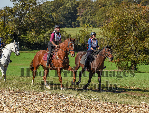 CheshirePC(10-18-20)0536