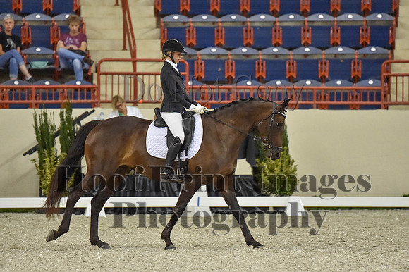 CWdressageI(8-20-16)0627