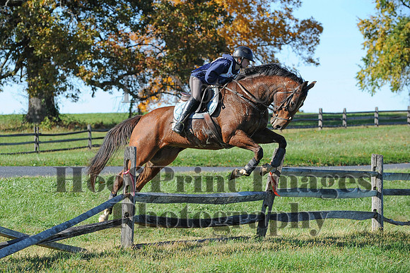 Cheshire(10-19-14)0353