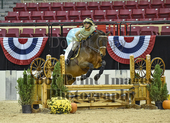 MidAtEqFest(11-14-15)1718