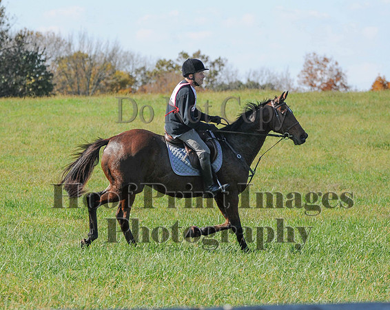 Cheshire(10-20-13)0719