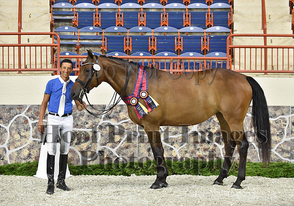 CWdressageI(8-20-16)1692