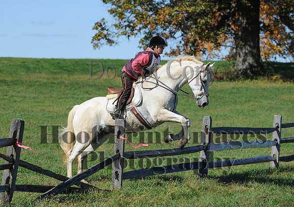 Cheshire(10-19-14)0121