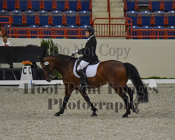 CWdressageII(8-21-16)0485