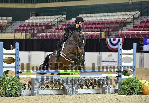 MidAtEqFest(11-14-15)1753