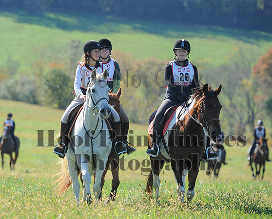 Cheshire(10-20-13)0508