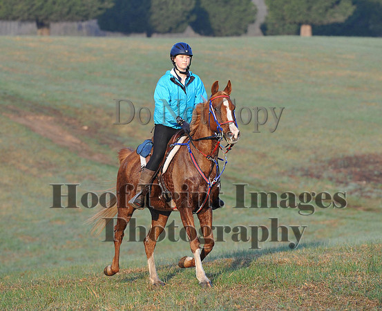 Foxcatcher(4-12-14)0449