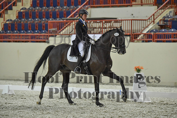 CWdressageI(8-20-16)1484