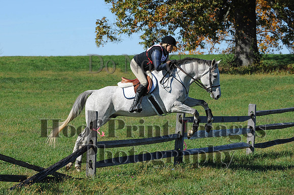 Cheshire(10-19-14)0259