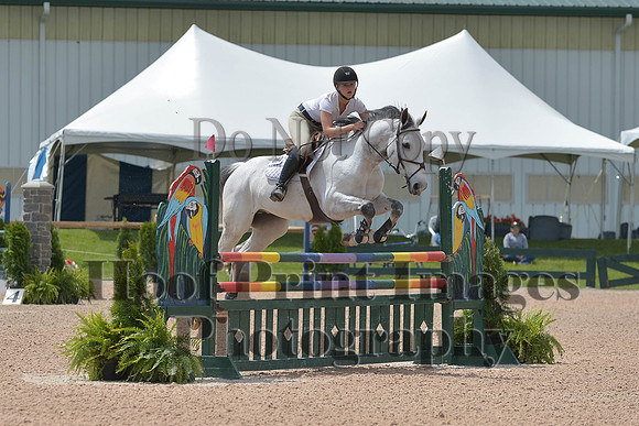 BRSa(5-17-14)HChAdJ0232