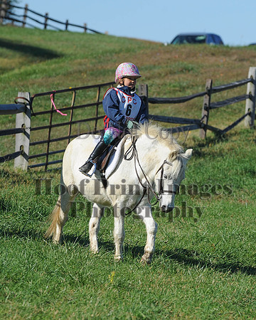 Cheshire(10-19-14)0409