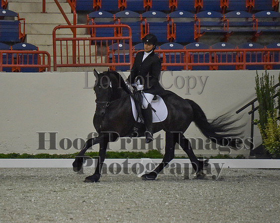 CWdressageII(8-21-16)1255