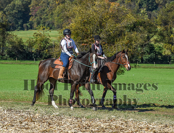 CheshirePC(10-18-20)0373