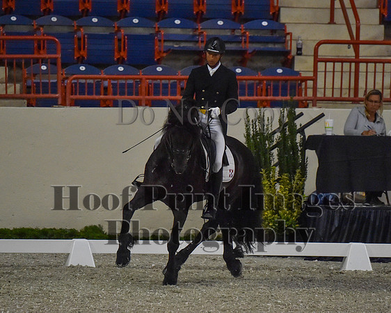 CWdressageII(8-21-16)0599