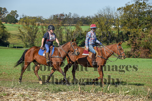 CheshirePC(10-18-20)0432