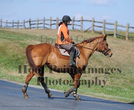 Cheshire(10-20-13)0444