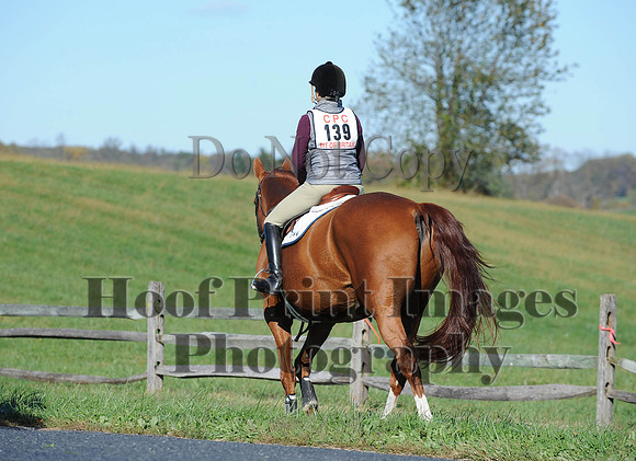 Cheshire(10-19-14)0462