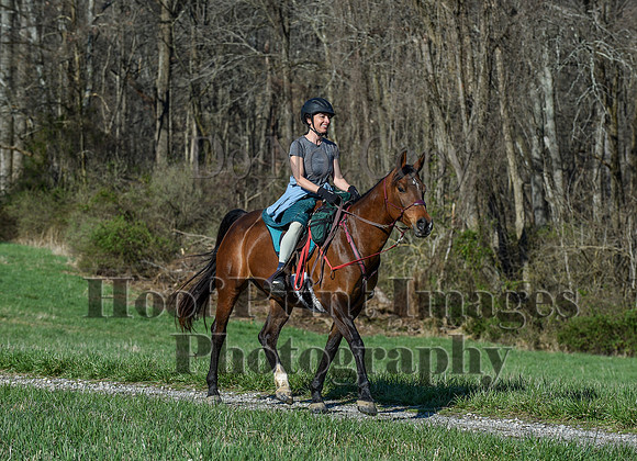 ChesapeakeSpring(4-10-22)0522