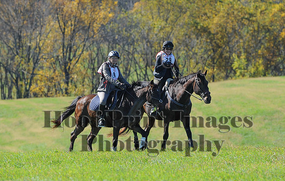 Cheshire(10-19-14)0213