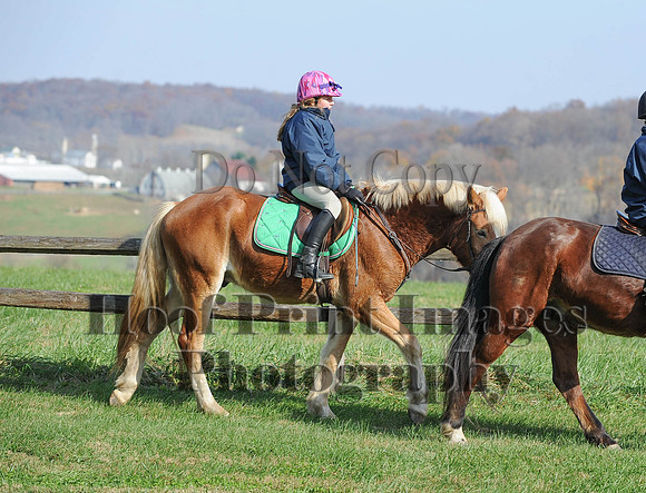 AndrewsBr(11-9-14)0149
