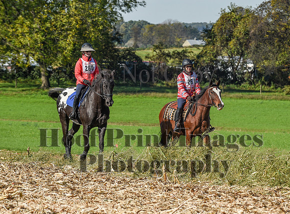 CheshirePC(10-18-20)0334