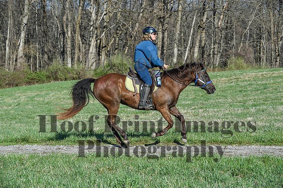 ChesapeakeSpring(4-10-22)0469