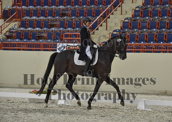 CWdressageI(8-20-16)1466