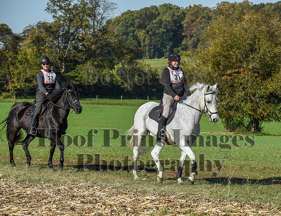 CheshirePC(10-18-20)0177