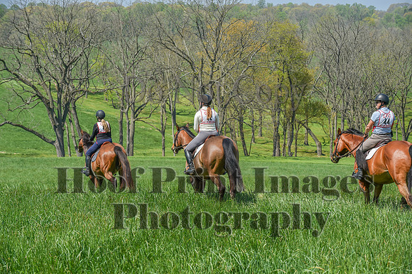 CheshireSpringPC1(4-28-24)0315