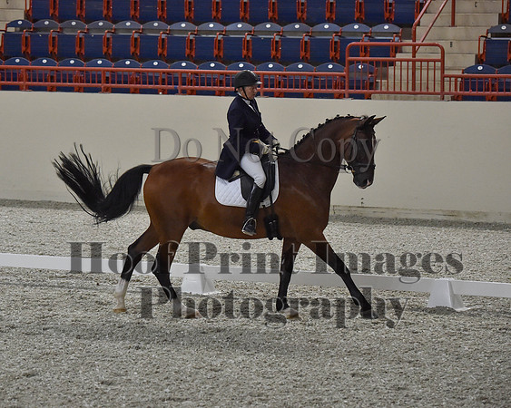 CWdressageII(8-21-16)0767