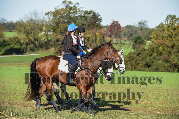 CheshirePC(10-18-20)0131