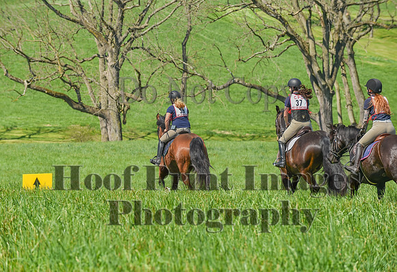 CheshireSpringPC1(4-28-24)0146