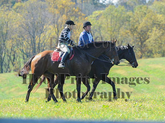 Cheshire(10-20-13)0651
