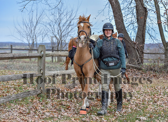 AndrewsBrHuntPace(11-10-24)0271